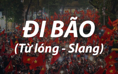 Learn Vietnamese online: ĐI BÃO (từ lóng/ a slang)
