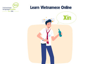 Learn Vietnamese Online: XỈN