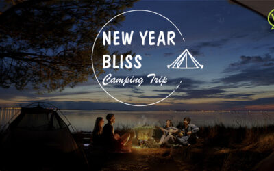 New Year Bliss Camping Trip at Lành Farm | Bánh Chưng, Bánh Tét Making Workshop