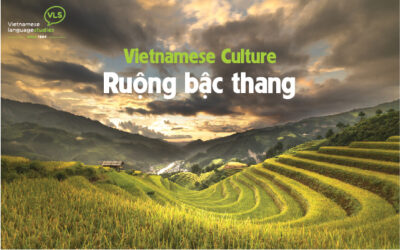 6 thửa ruộng bậc thang nổi tiếng Việt Nam