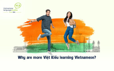Why are more Việt Kiều learning Vietnamese online & offline?