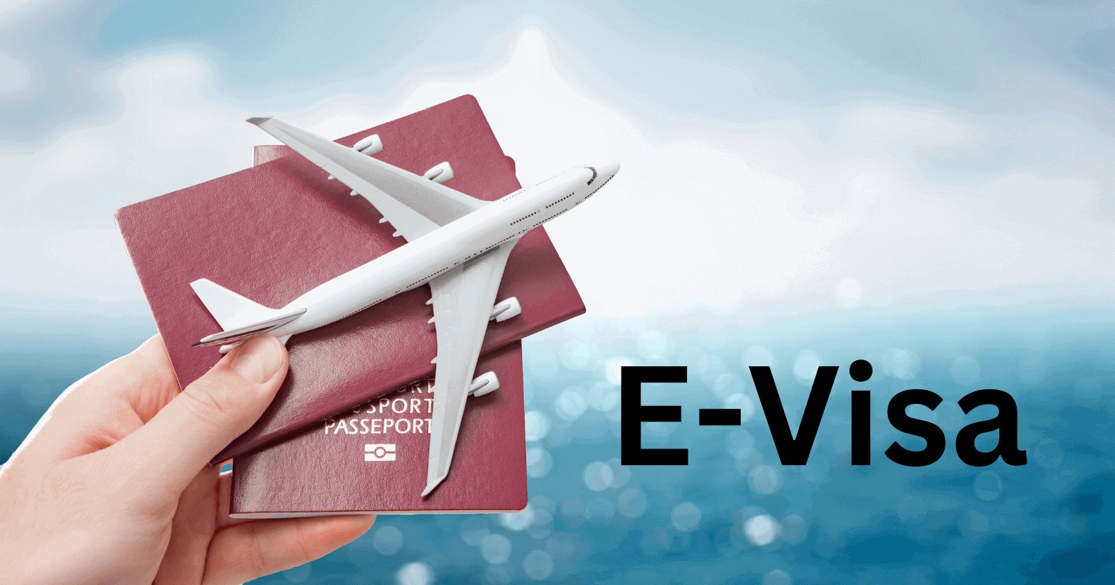 Passport and e-visa Vietnam