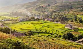 a rice paddy field in Sapa, Vietnam - one of the best routes for hiking adventure in Vietnam | Sapa hiking adventure