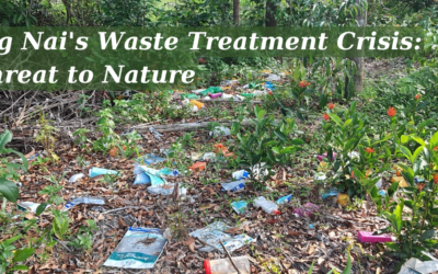 Dong Nai’s Ecological Dilemma: The Urgent Need for Waste Treatment