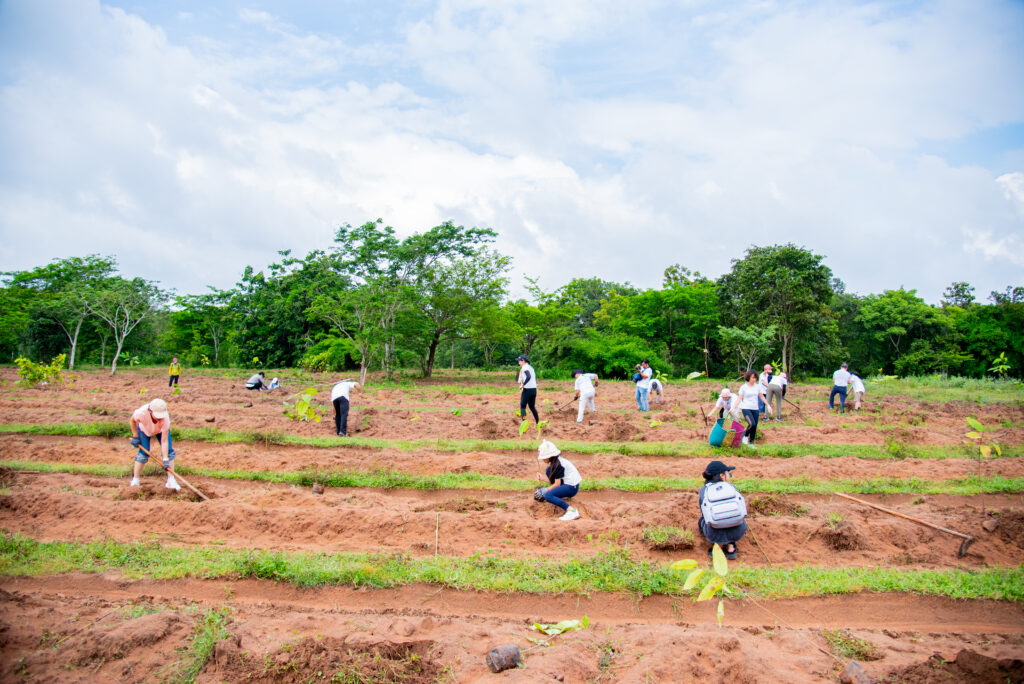 VLS team engaged in reforestation efforts at Binh Chau Phuoc Buu Nature Reserve