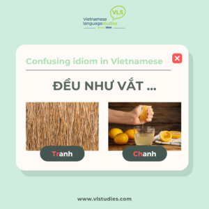 Confusing Vietnamese Idiom: Đều như vắt tranh