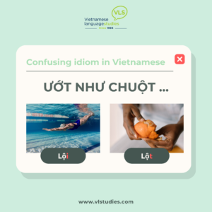 Confusing Vietnamese Idiom: Ướt như chuột lội