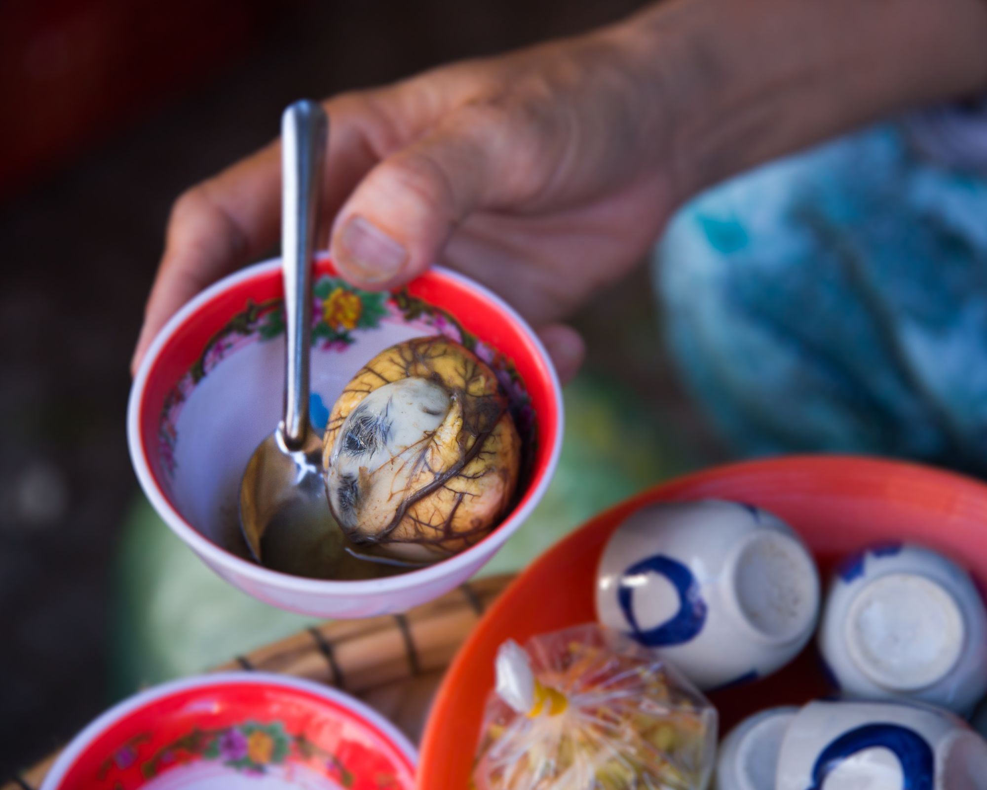 1-1 Explore exotic Vietnamese food with VLS