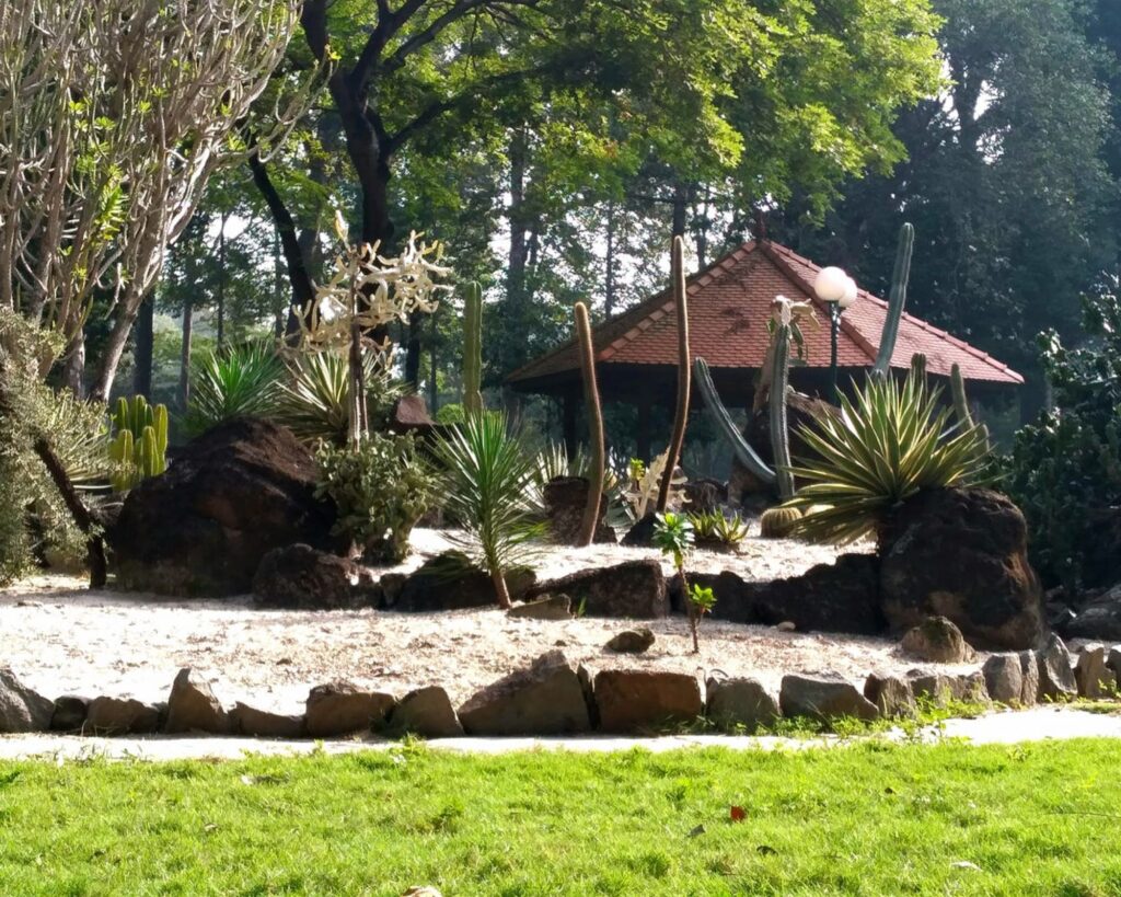 Discover the top 10 Ho Chi Minh City attractions — from historic landmarks to local hidden gems. Find the best places to visit in Ho Chi Minh City with insider travel tips!