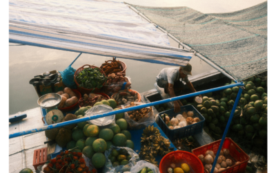 Vietnamese Fruits You Must Try: Discover Tropical Fruits in Vietnam